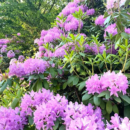 公寓 Miller Kunterbunt *