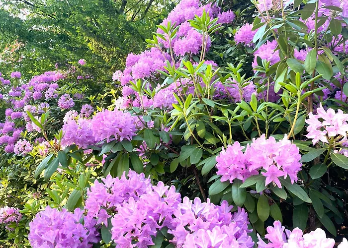 Апартаменты Miller Kunterbunt *